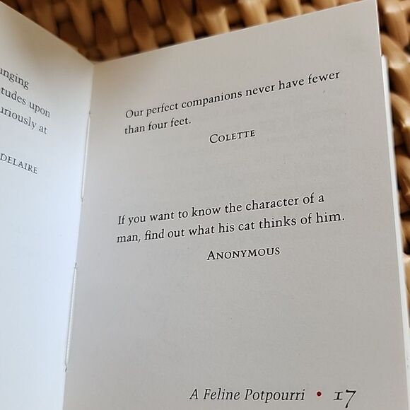 Two Mini Cat Books - Picture 9 of 12